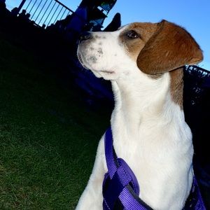 Meet your Posher, Natalia